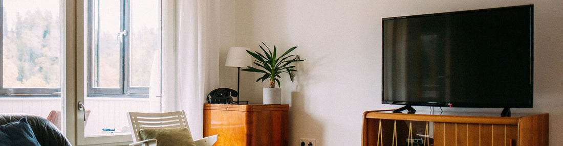 10 Smart Energy-Saving Tips for a Greener Home