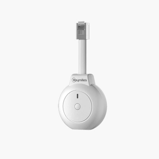 Hoymiles P1 Meter
