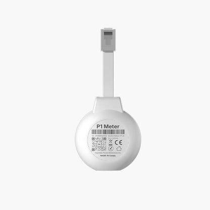 Hoymiles P1 Meter