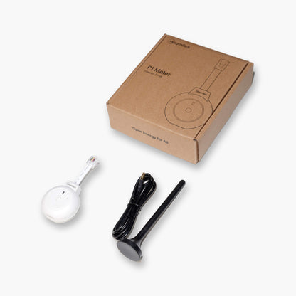 Hoymiles P1 Meter